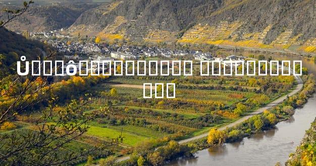 Ů��ʲô�����ֲ��˺� �ճ�ϸ���￴����